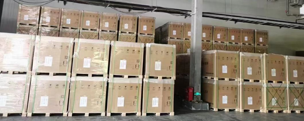 Tier 1 Ja Jinko Trina Longi Canadian Dmegc Dinghui A Grade 545W 560W 565W Solar Panel with CE TUV