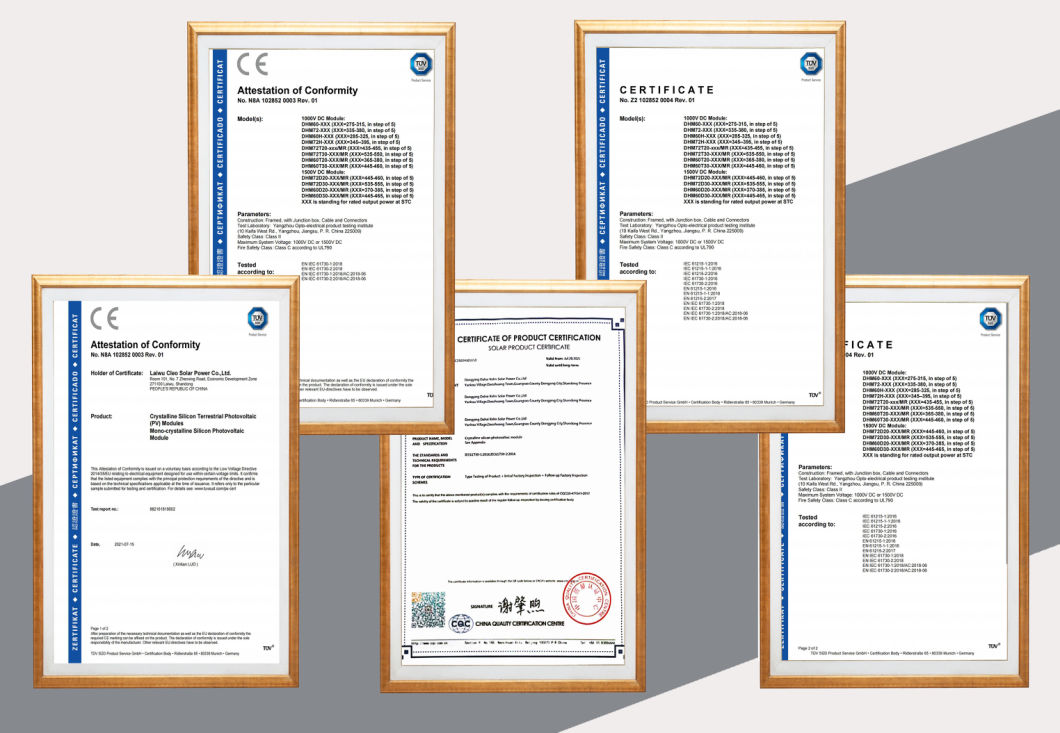 Longi High Efficiency Mono Panel Dauble Glass 12bb 227mm Half Cells Solar Panel