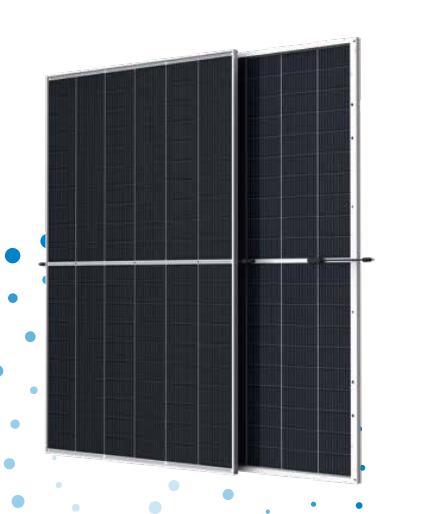 Trina Vertex N-Type Bifacial Dula Glass 600W610W620W630W Mono Solar Module Panel for Factory