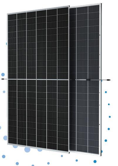 Trina Bifacial Solar Panel Mono Module 645W650W655W660W665W Solar Power Panel System