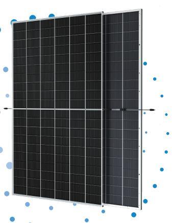 Trina Tsm-Deg20c. 20 Bifacial Dual Glass 585W590W595W600W605W Mono Solar Panel