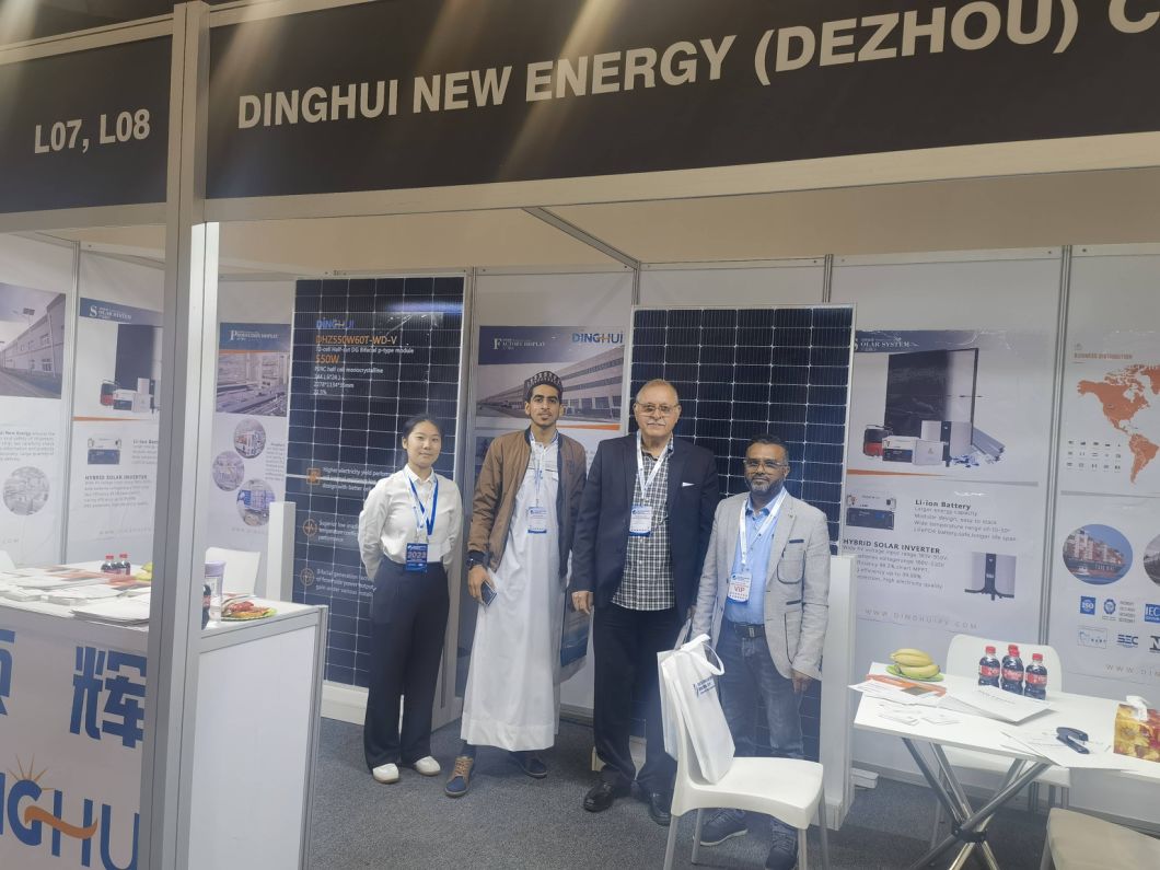 Tier 1 Dmegc 500W 505W 510W Solar Panel with CE TUV for Solar Energy System