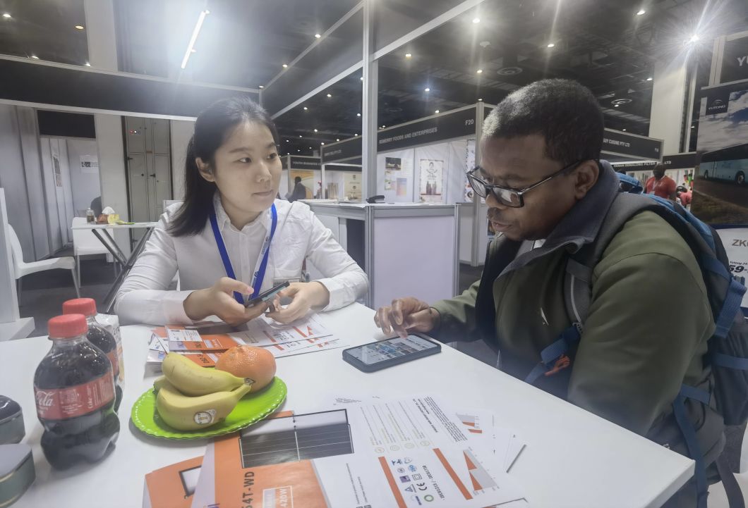 Hot Sell! Dmegc Half Cut 615W 620W A Grade 630W Solar Panel for Solar Energy System