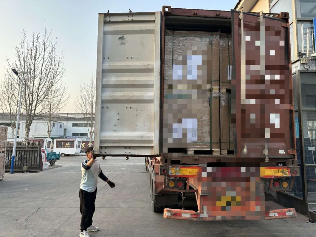 Longi Factory Hot Sale Double Glass Solar Panel535W540W545W550W555W